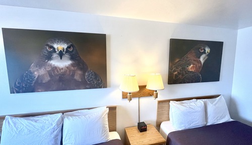 Room, 2 Queen Beds, Mountain View