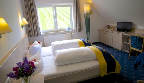 Double Room, Vineyard View