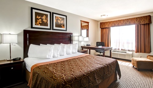 Room, 1 King Bed (Barrier Free)