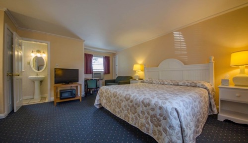 Basic Room, 1 King Bed, Refrigerator & Microwave