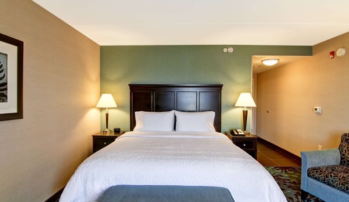 Room, 1 King Bed, Non Smoking, Accessible