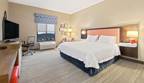 Room, 1 King Bed, Accessible