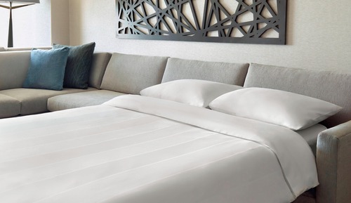 Executive Suite, 1 King Bed with Sofa bed