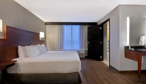 Room, 1 King Bed, Accessible (Shower)