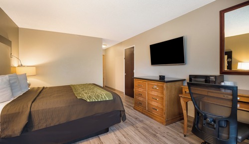 Room, 1 King Bed, Accessible, Non Smoking