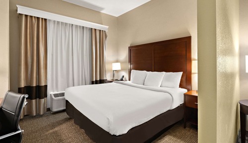 Suite, 1 King Bed with Sofa bed