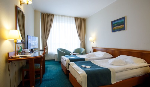 Business Twin Room