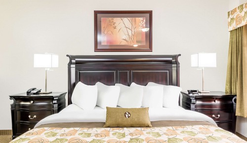 Room, 1 King Bed, Accessible, Refrigerator & Microwave