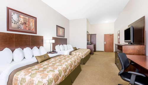 Deluxe Room, Multiple Beds, Non Smoking, Microwave (Refrigerator)