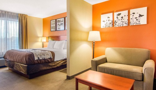 Suite, 1 King Bed, Non Smoking