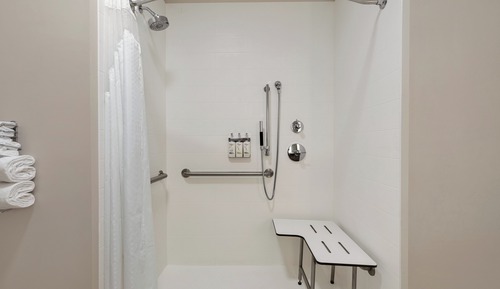 Standard Room, 1 King Bed, Mobility Accessible (Roll-In Shower)