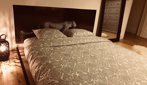 Basic Room