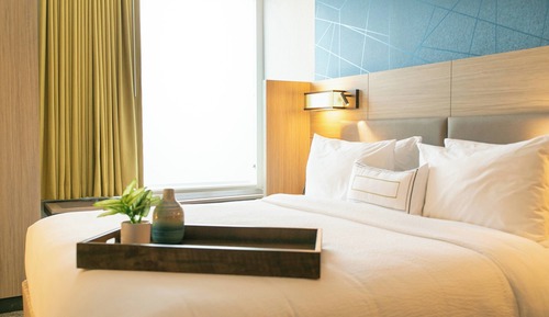 Suite, 1 King Bed with Sofa bed (Mobility/Hearing Access, Roll-in Shwr)