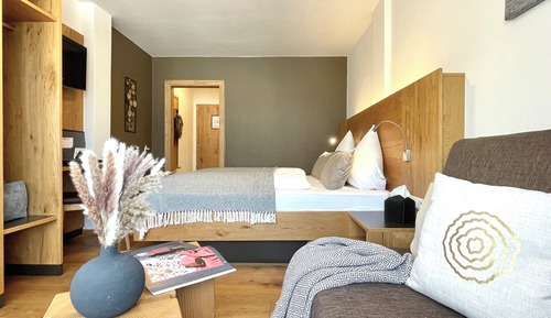 Standard Double Room, Mountain View
