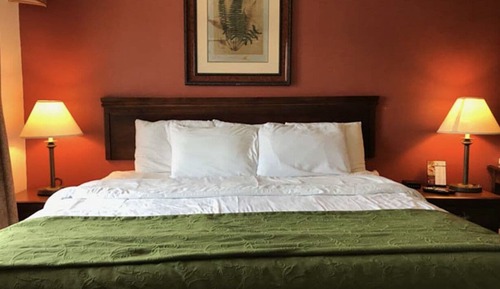 Basic Double Room