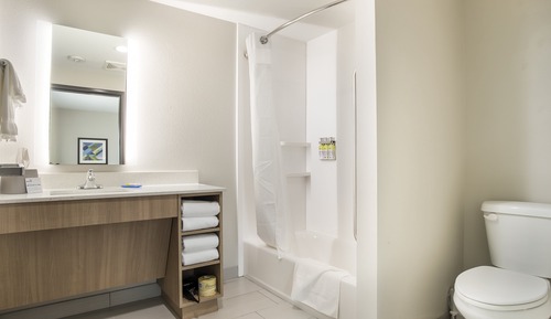 Standard Room, 1 King Bed, Accessible (Comm, Mobil, Accessible Tub)
