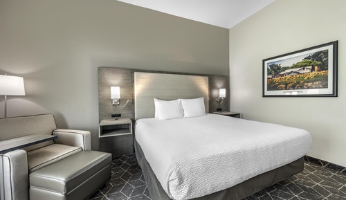 Standard Room, 1 King Bed, Non Smoking, Refrigerator & Microwave (1st Floor)