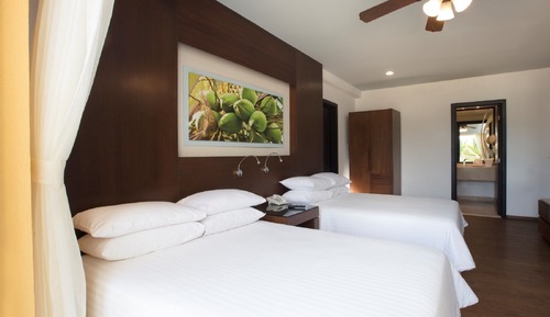 Deluxe Tropical View Doble