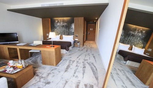 Standard Double Room Single Use