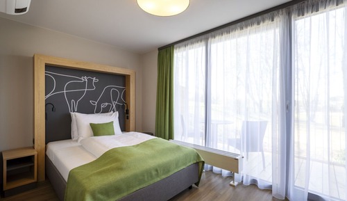 Superior Single Room