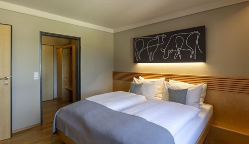 Basic Double Room, 1 Double Bed