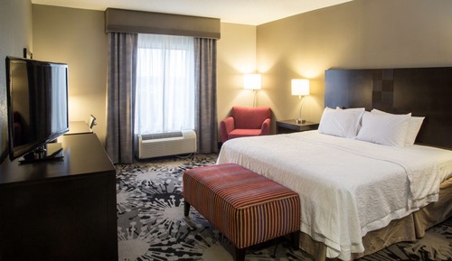 Room, 1 King Bed, Non Smoking