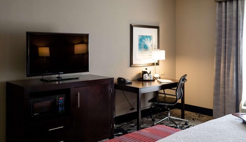 Room, 1 King Bed, Accessible (Roll-In Shower)
