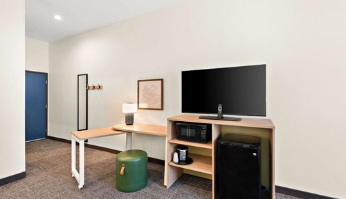 Room, 1 King Bed with Sofa bed