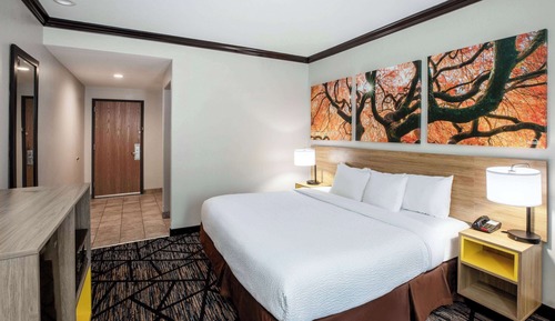 Room, 1 King Bed, Non Smoking
