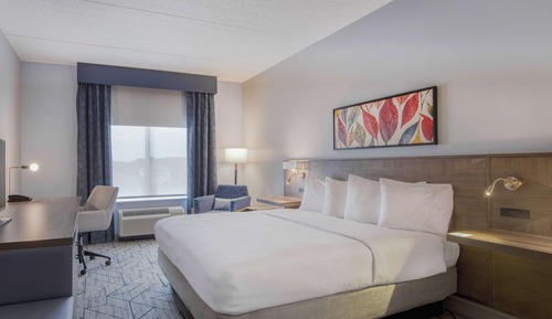 Room, 1 King Bed