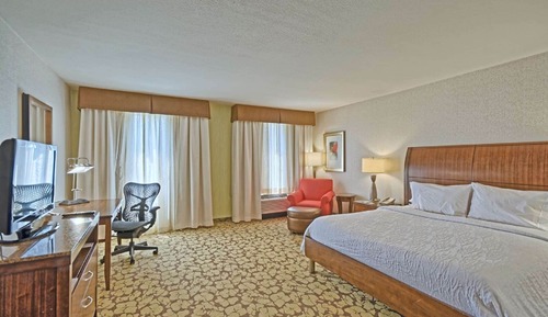 Room, 1 King Bed, Accessible