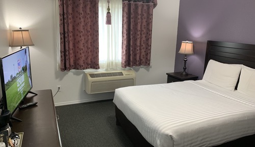 Single Room, 1 Queen Bed