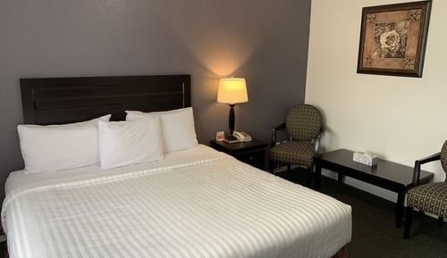 Room, 1 King Bed