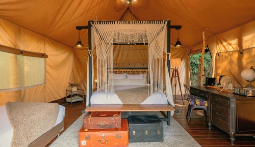 Safari Lux 2