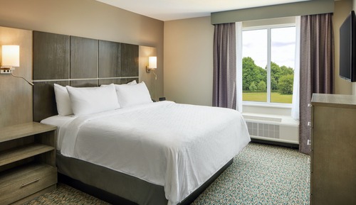 Suite, 1 Bedroom