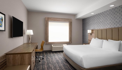 Standard Room, 1 King Bed, Accessible, Refrigerator & Microwave (Walk-in Shower)