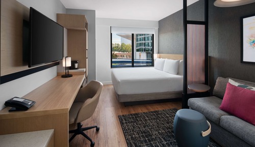 Room, 1 King Bed with Sofa bed