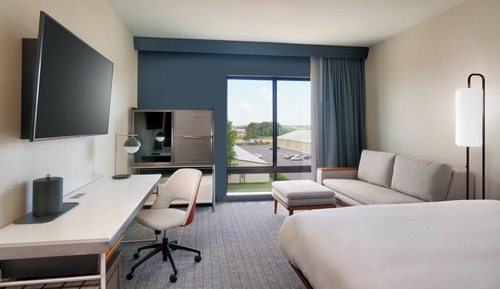 Standard Room, 1 King Bed with Sofa bed, Non Smoking