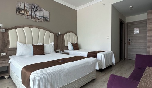 Standard Triple Room, Mountain View
