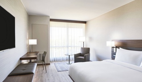 Room, 1 King Bed, Non Smoking, Mountain View