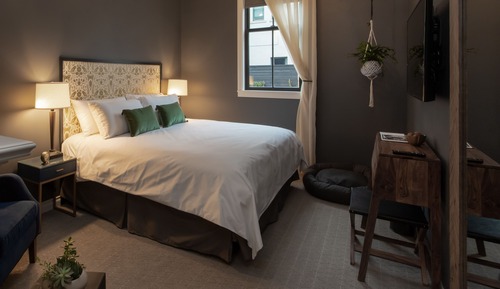Junior Studio, 1 King Bed