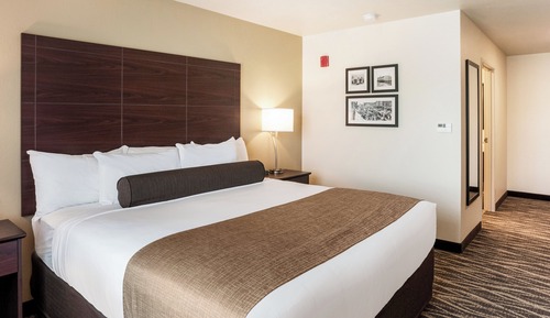 Room, 1 King Bed, Non Smoking