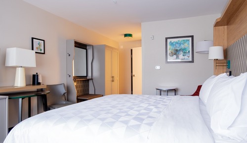 Standard Room, 1 King Bed, Accessible (Mobility)