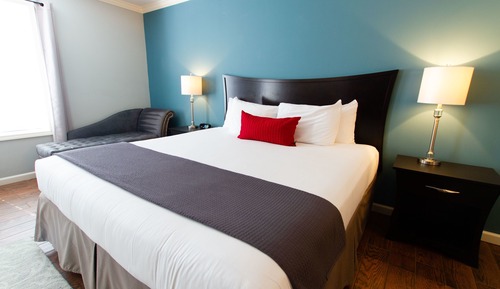 Standard Room, 1 King Bed, Non Smoking