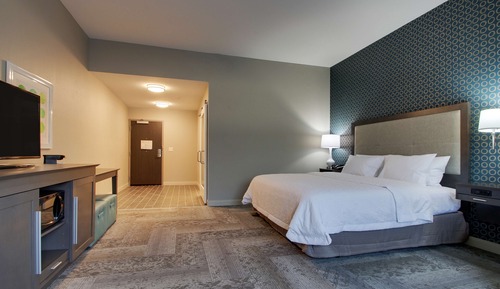 Room, 1 King Bed with Sofa bed, Accessible, Bathtub (Mobility & Hearing)