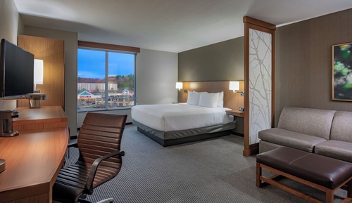Room, 1 King Bed, Accessible, Bathtub (Specialty)
