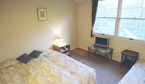 Standard Twin Room, Non Smoking, Mountain View