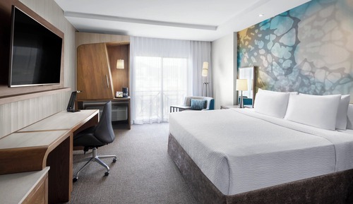 Room, 1 King Bed, Non Smoking
