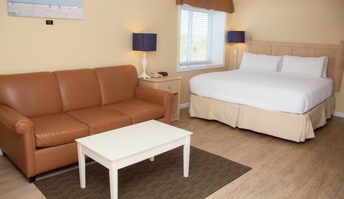 Studio, 1 Queen Bed with Sofa bed