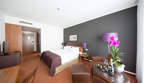 Comfort Suite